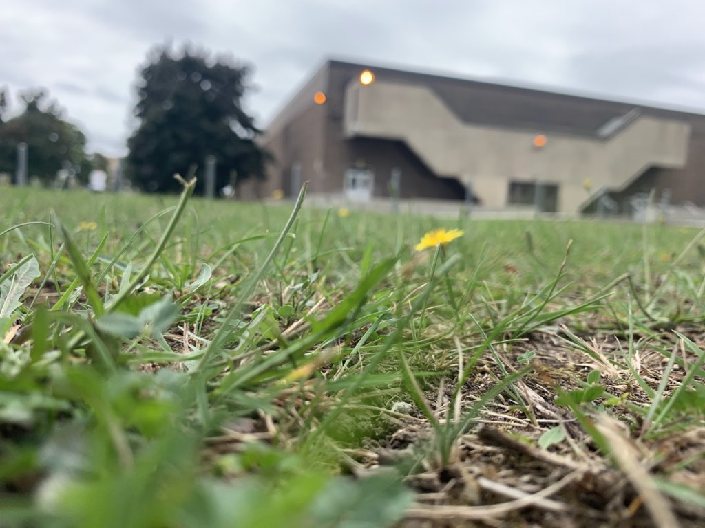 Pierrefonds Community High School — Campus